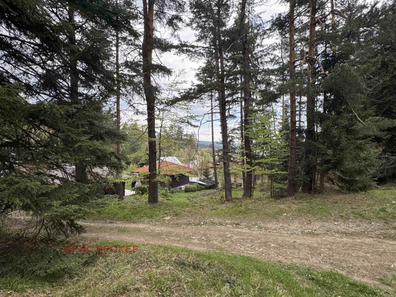 Eladó  Cselekmény régió Pazardzhik , Batak , 518 négyzetméter | 77499806 - kép [3]