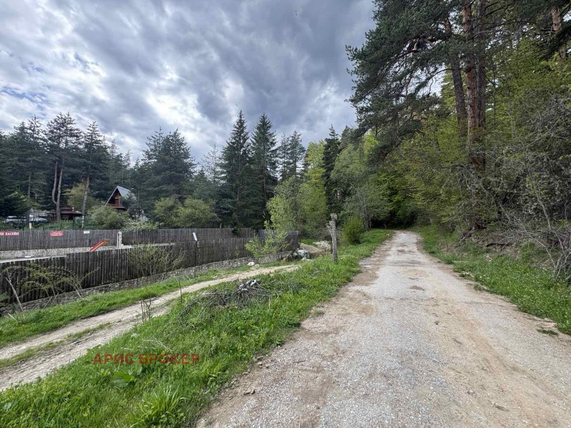 Eladó  Cselekmény régió Pazardzhik , Batak , 518 négyzetméter | 77499806