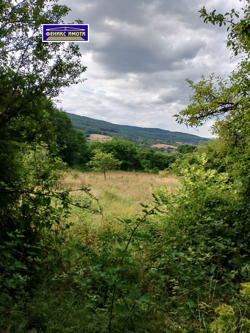 Na prodej  Přistát oblast Kyustendil , Vratca , 1.3 dka | 19087679