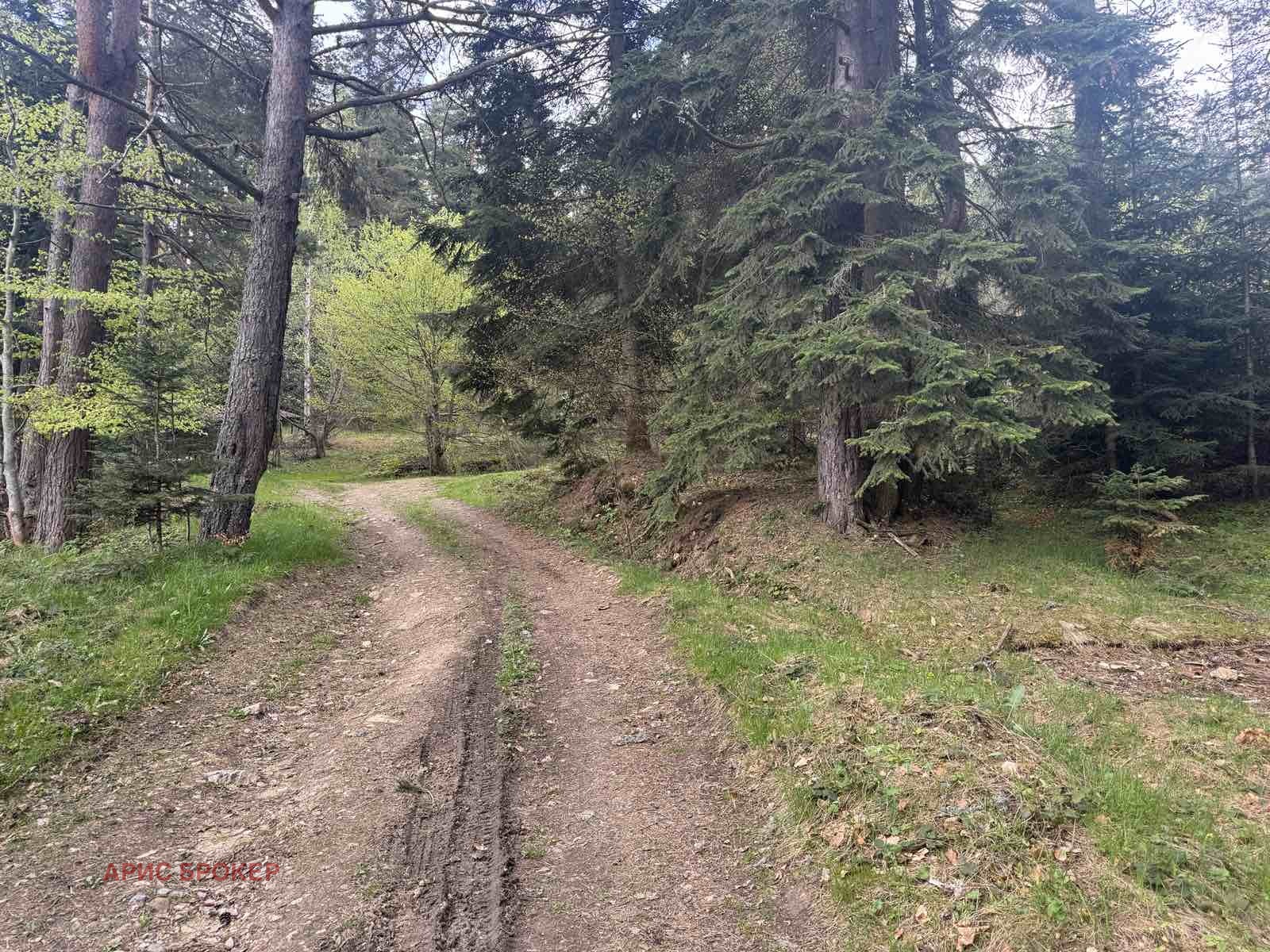 Продава ПАРЦЕЛ, гр. Батак, област Пазарджик, снимка 2 - Парцели - 54197893