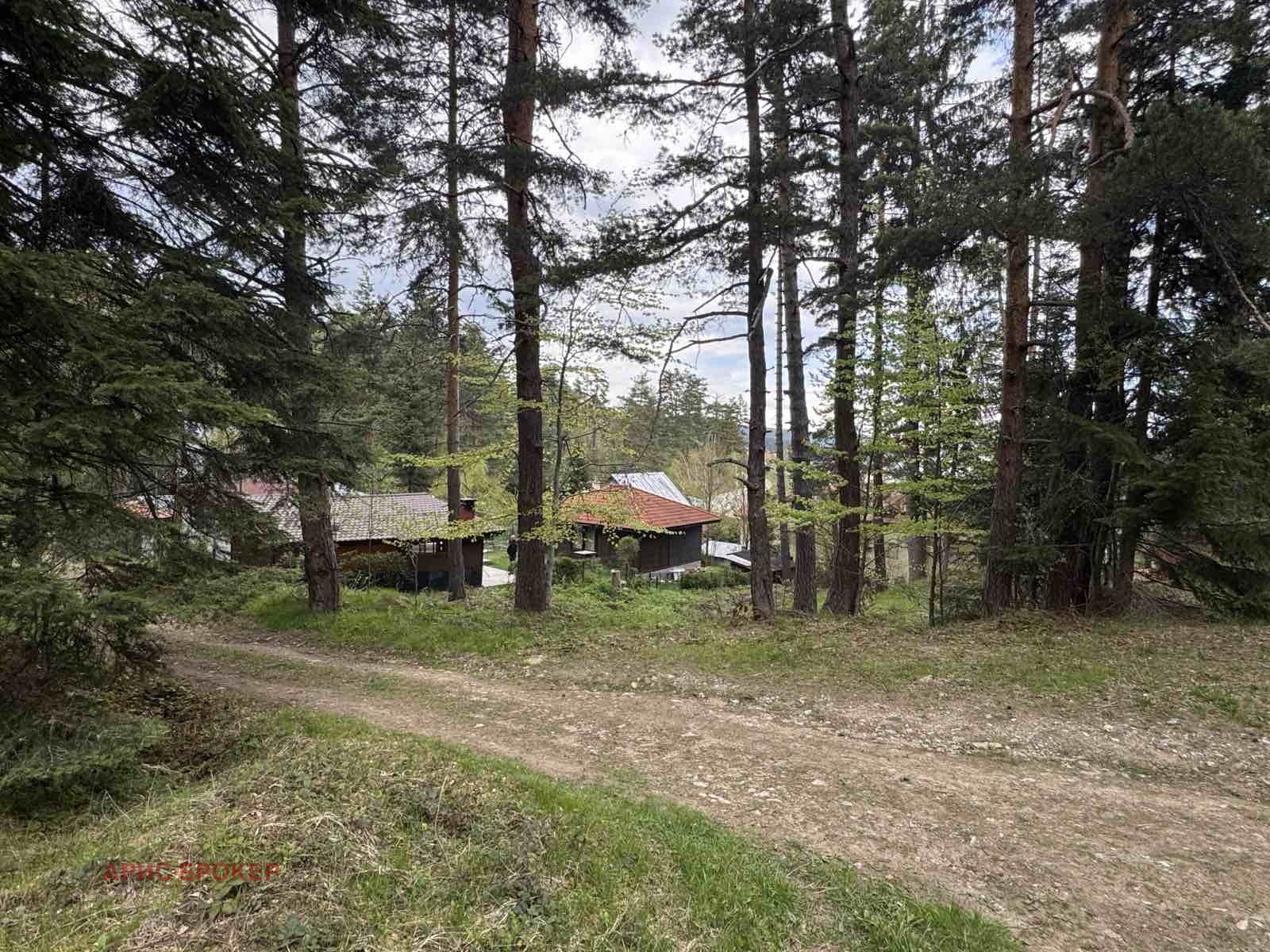 Продава ПАРЦЕЛ, гр. Батак, област Пазарджик, снимка 4 - Парцели - 54197893