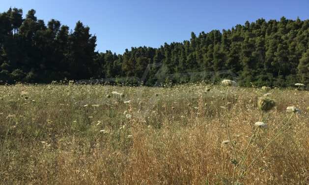 ������� ������ | Imot.bg � ����������� 2