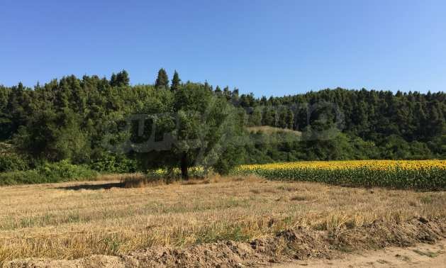 ������� ������ | Imot.bg � ����������� 1