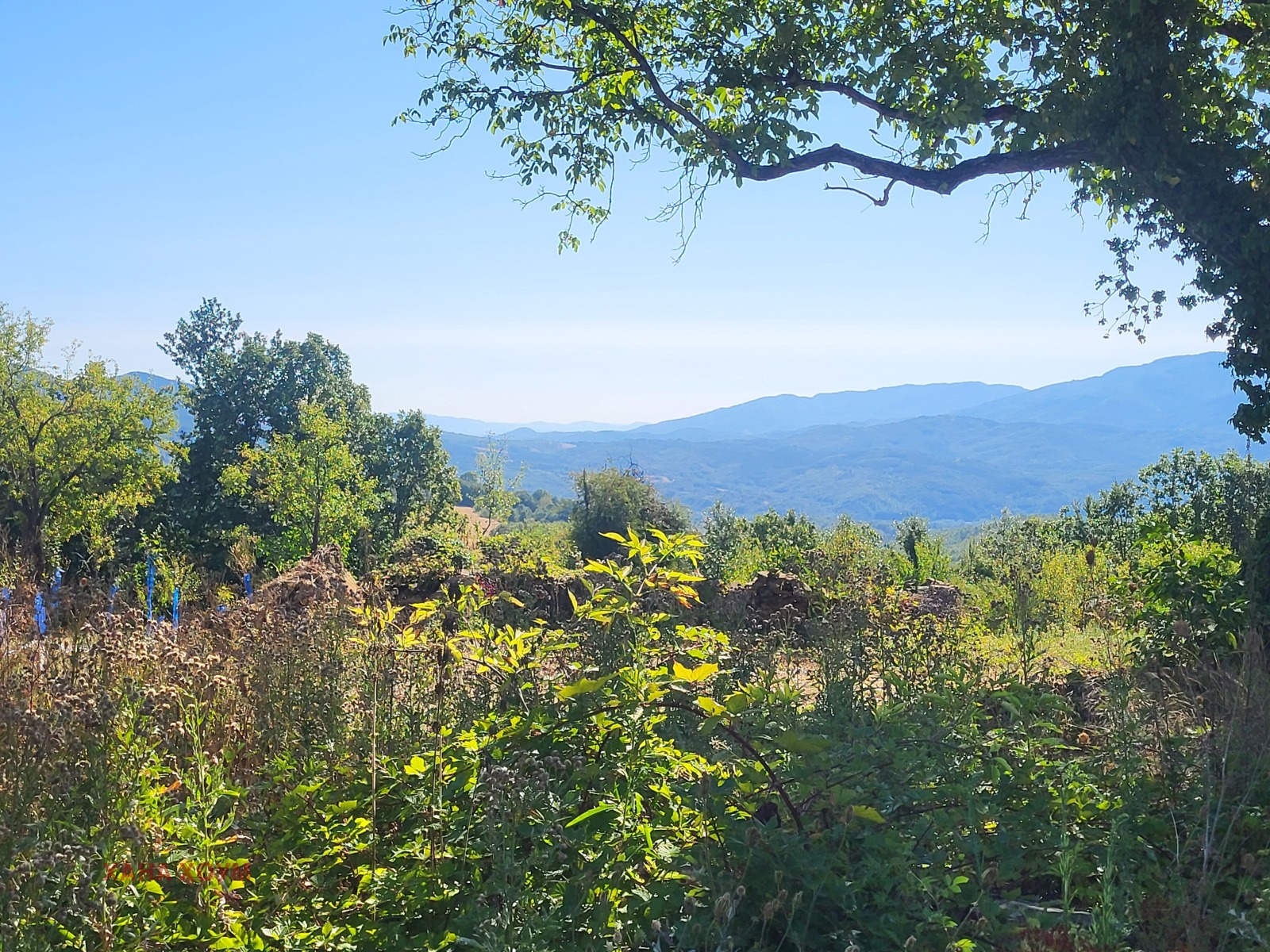 Продава ПАРЦЕЛ | Imot.bg — изображение 1