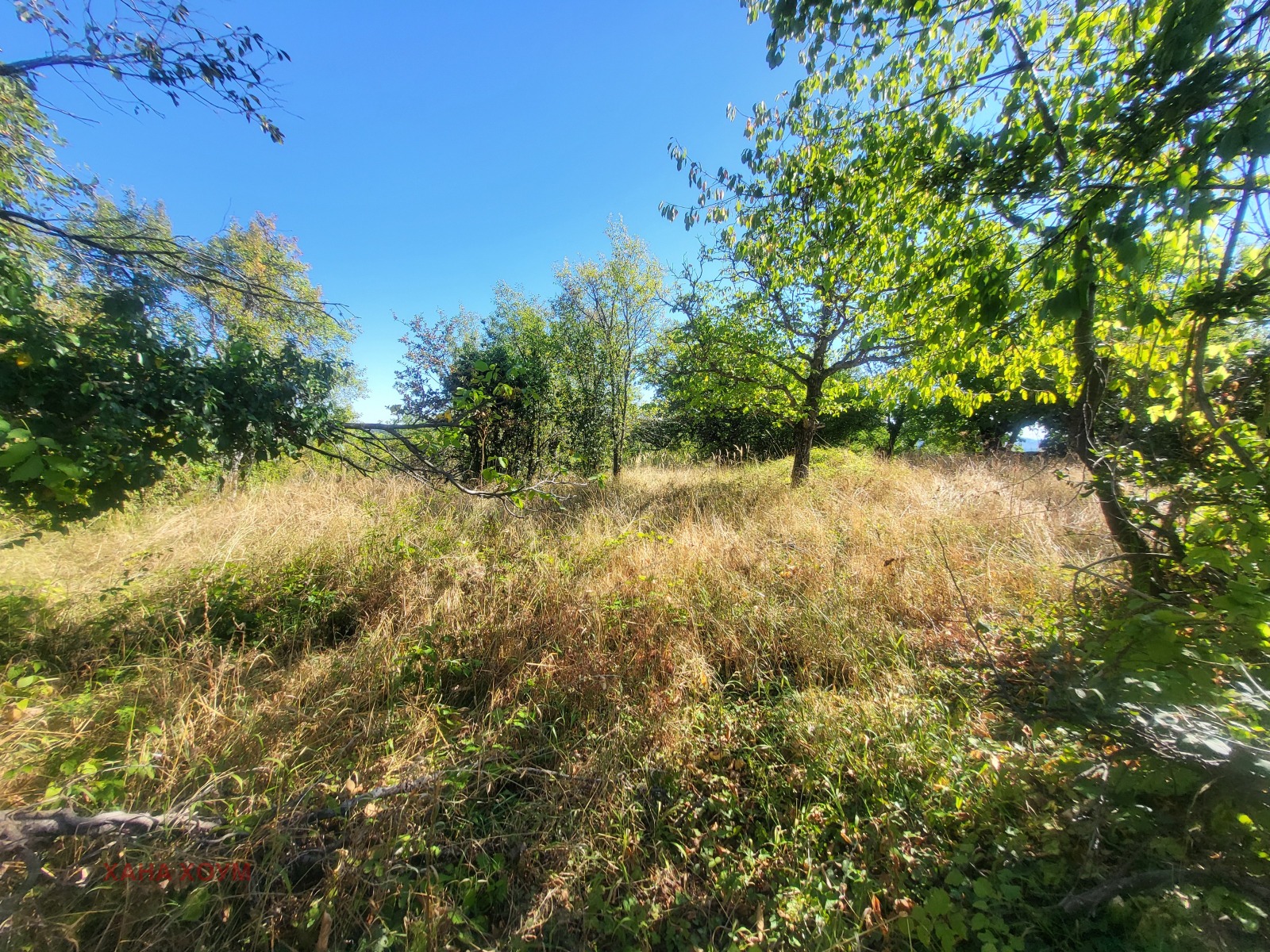 Продава ПАРЦЕЛ | Imot.bg — изображение 5