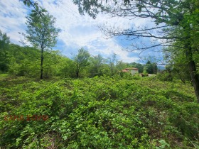 Plott Balkanets, region Lovech 7
