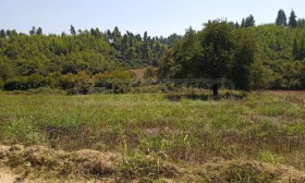 ������� ������ | Imot.bg � ����� ������ 10