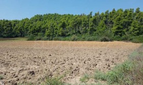 ������� ������ | Imot.bg � ����� ������ 13