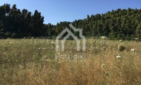 ������� ������ | Imot.bg � ����� ������ 16