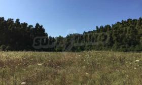 ������� ������ | Imot.bg � ����� ������ 5