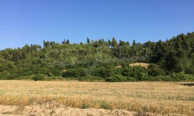 ������� ������ | Imot.bg � ����� ������ 4