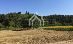 ������� ������ | Imot.bg � ����� ������ 15