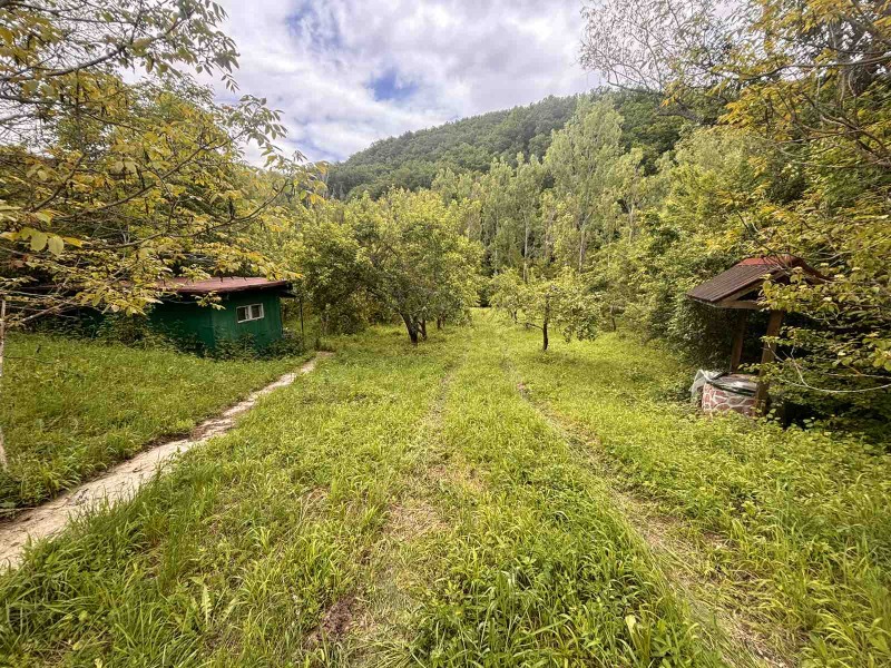 À venda  Trama região Sófia , Ialbotina , 2570 m² | 47350089 - imagem [2]