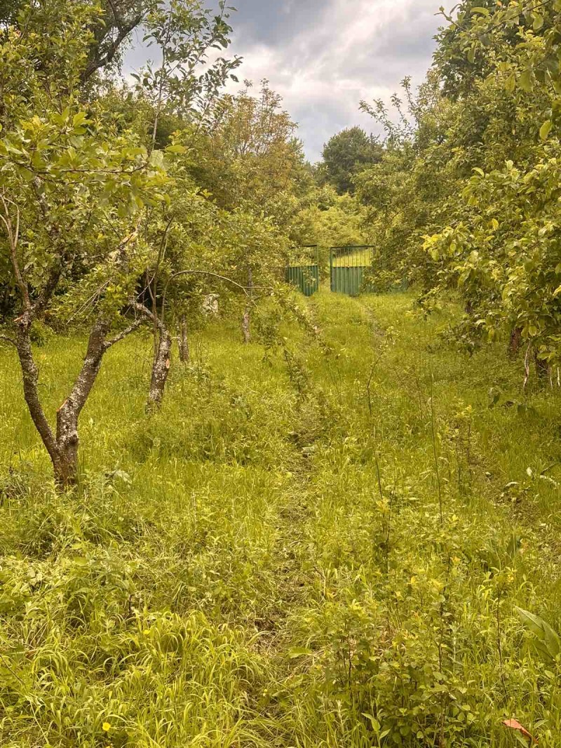 À venda  Trama região Sófia , Ialbotina , 2570 m² | 47350089 - imagem [8]