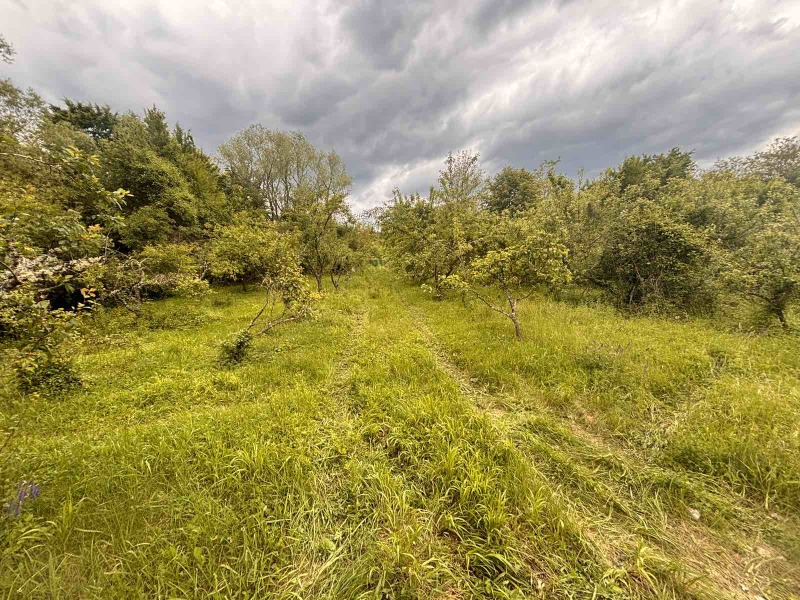 À venda  Trama região Sófia , Ialbotina , 2570 m² | 47350089 - imagem [10]