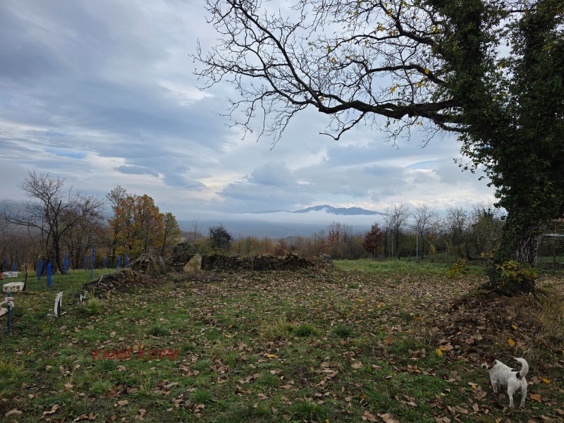 Продава ПАРЦЕЛ, с. Патрешко, област Ловеч, снимка 5 - Парцели - 51519799