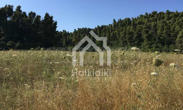 Продава ПАРЦЕЛ, Извън страната, област Извън страната, снимка 16 - Парцели - 54846598