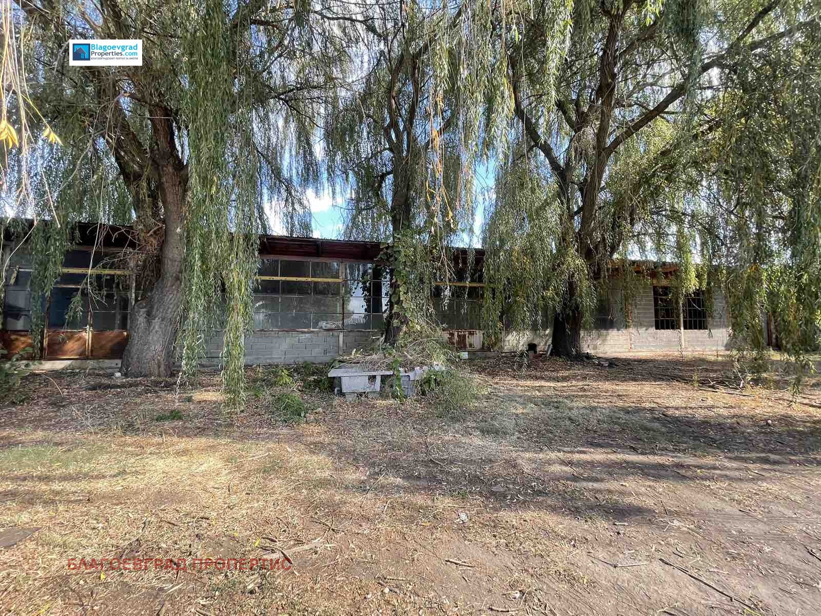 Продава СКЛАД, с. Бараково, област Кюстендил, снимка 3 - Складове - 53775806