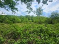 Продава ПАРЦЕЛ, с. Балканец, област Ловеч, снимка 2