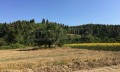 Продава ПАРЦЕЛ, Извън страната, област Извън страната, снимка 1