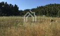 Продава ПАРЦЕЛ, Извън страната, област Извън страната, снимка 16