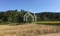 Продава ПАРЦЕЛ, Извън страната, област Извън страната, снимка 15