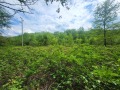 Продава ПАРЦЕЛ, област Ловеч, с. Балканец • 95000 € • 82153551 — Holmes.bg