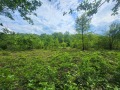 Продава ПАРЦЕЛ, област Ловеч, с. Балканец • 95000 € • 82153551 — Holmes.bg