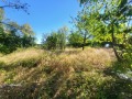 Продава ПАРЦЕЛ, област Ловеч, с. Патрешко • 29000 € • 94119939 — Holmes.bg