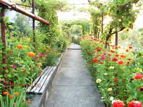 ������� ���� | Imot.bg � ����� ������ 4