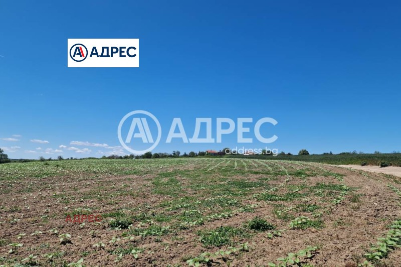Продава ПАРЦЕЛ, с. Здравец, област Варна, снимка 3 - Парцели - 53280367