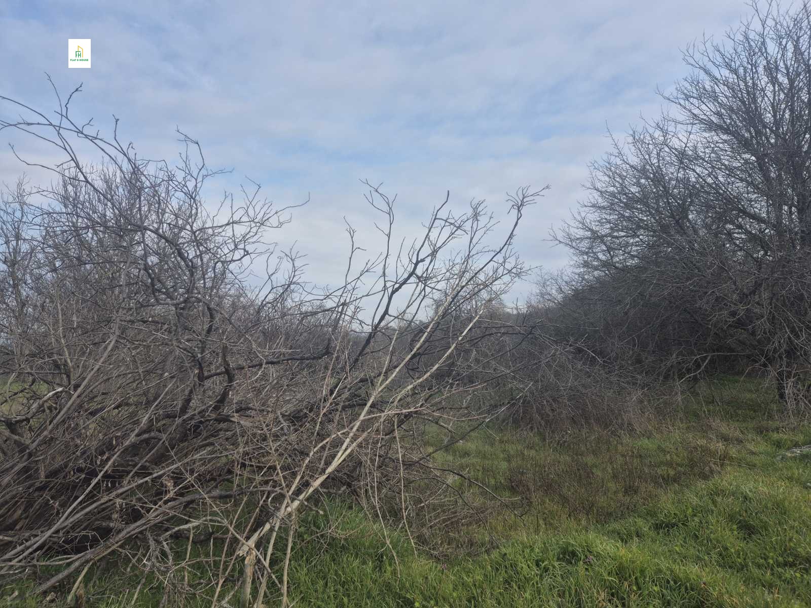 Продава ЗЕМЕДЕЛСКА ЗЕМЯ, с. Петров дол, област Варна, снимка 5 - Земеделска земя - 53778988