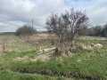 Продава ПАРЦЕЛ, с. Царичино, област Добрич, снимка 1
