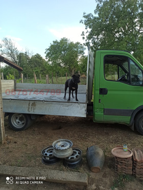 ������� ���� | Imot.bg � ����� ������ 3