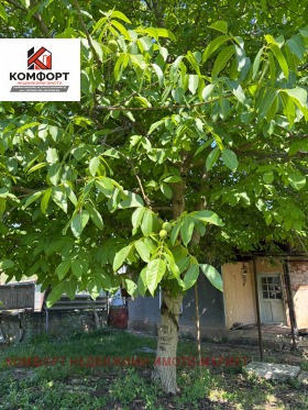 ������� ���� | Imot.bg � ����� ������ 13