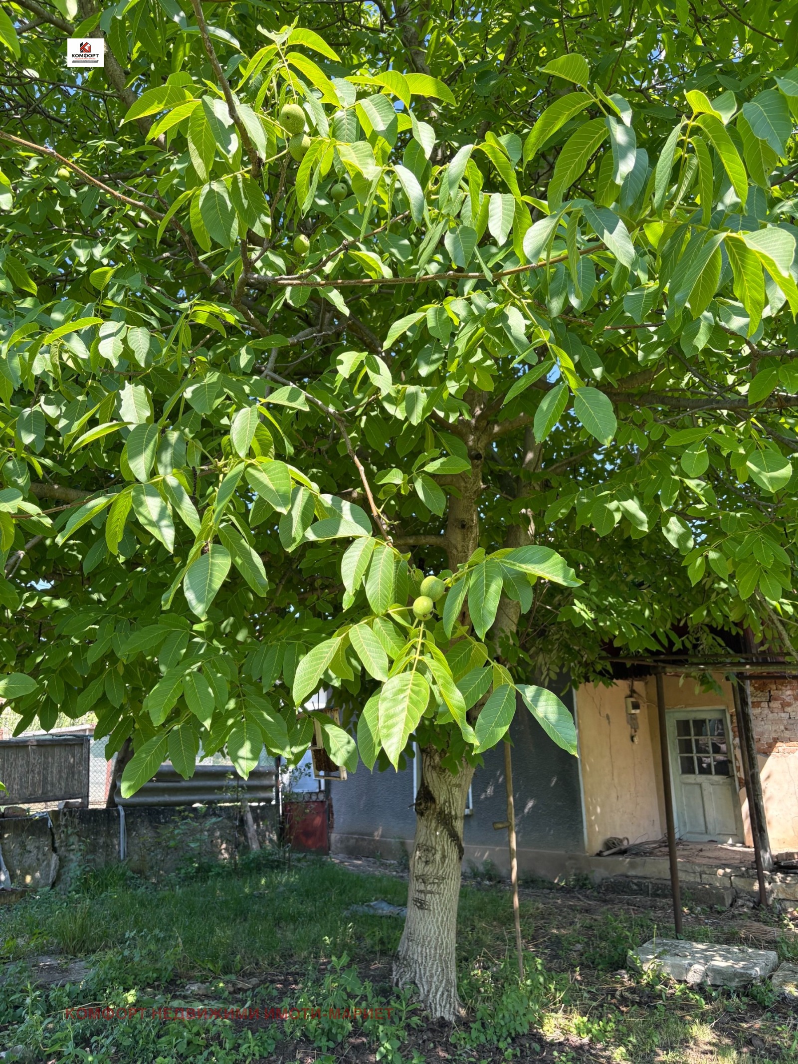 Продава КЪЩА, с. Ракита, област Плевен, снимка 12 - Къщи - 55888845