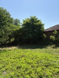 Продава КЪЩА, с. Ракита, област Плевен, снимка 8