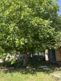 Продава КЪЩА, с. Ракита, област Плевен, снимка 11