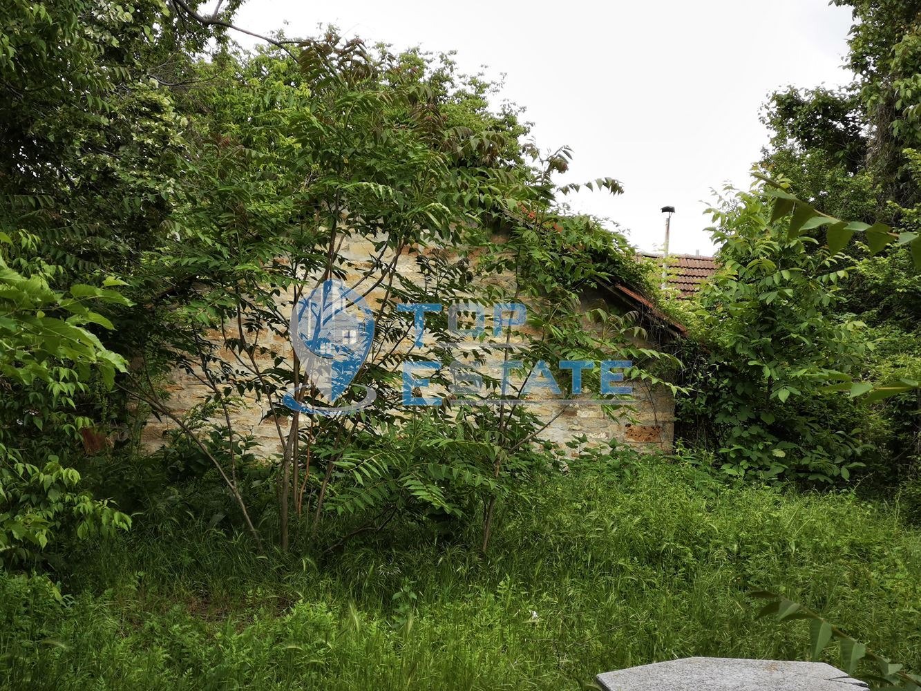 ������� ���� | Imot.bg � ����������� 17