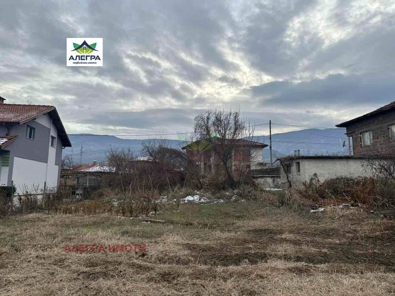 For Sale  Plot region Pazardzhik , Tsrancha , 1007 sq.m | 66651589 - image [4]