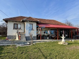 ������ ������� ����