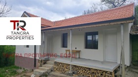 ������ ������� ����