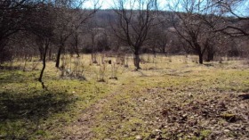 ������� ������ | Imot.bg � ����� ������ 7