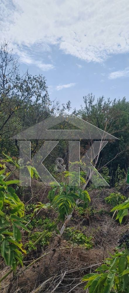 For Sale  Plot region Varna , Krumovo , 1260 sq.m | 19792291 - image [3]