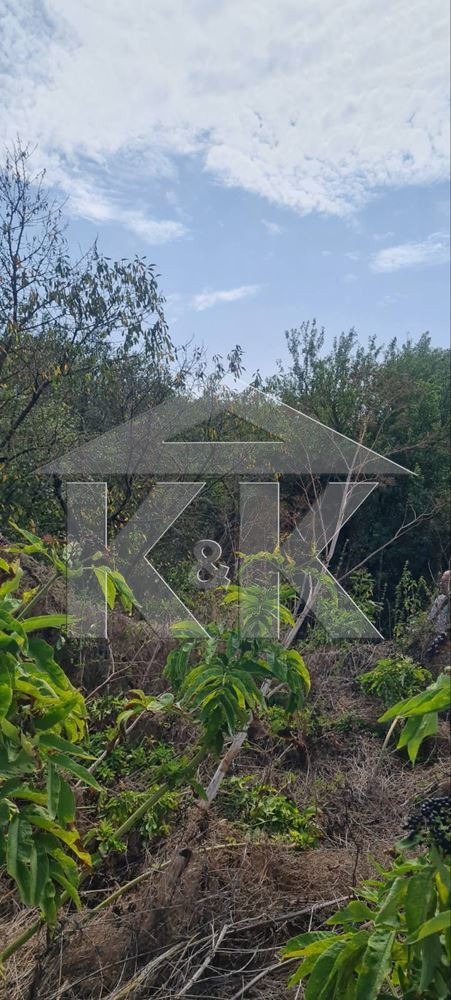 For Sale  Plot region Varna , Krumovo , 1260 sq.m | 19792291 - image [5]