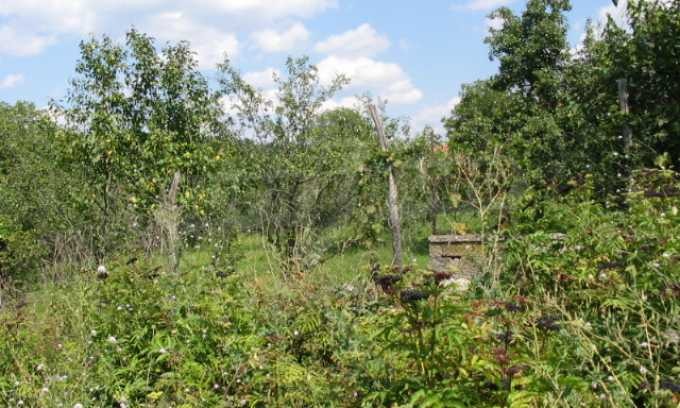 Продава ПАРЦЕЛ, с. Добромирка, област Габрово, снимка 3 - Парцели - 56727432