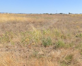 Парцел град Бургас, с. Извор