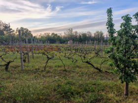 ������� ������ | Imot.bg � ����� ������ 15
