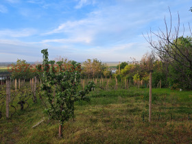 ������� ������ | Imot.bg � ����� ������ 11