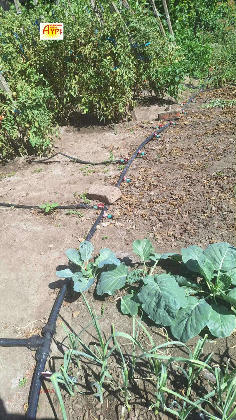 Продава КЪЩА, с. Попица, област Враца, снимка 12 - Къщи - 52230353